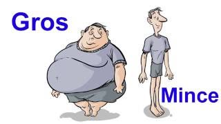 La description physique