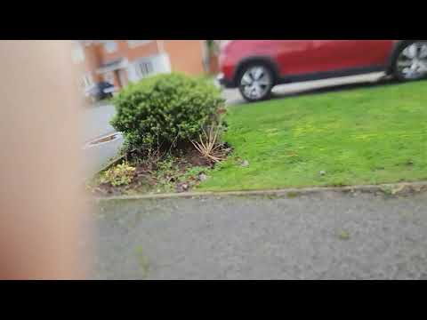 19/12/2020 12:03 (16 Harvest Cl, Stoke Heath, Bromsgrove B60 3QS, UK)