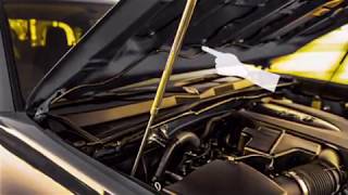 Hood strut removal and replacement