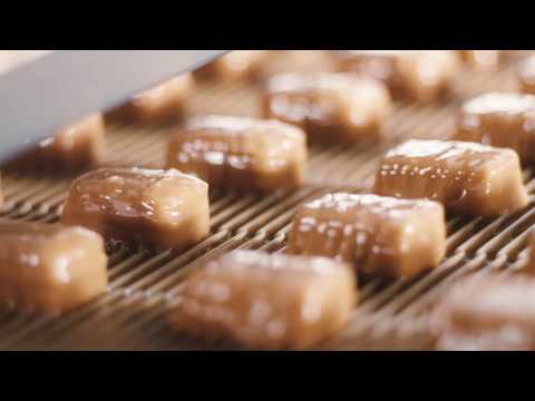 SOLLICH Group Trailer