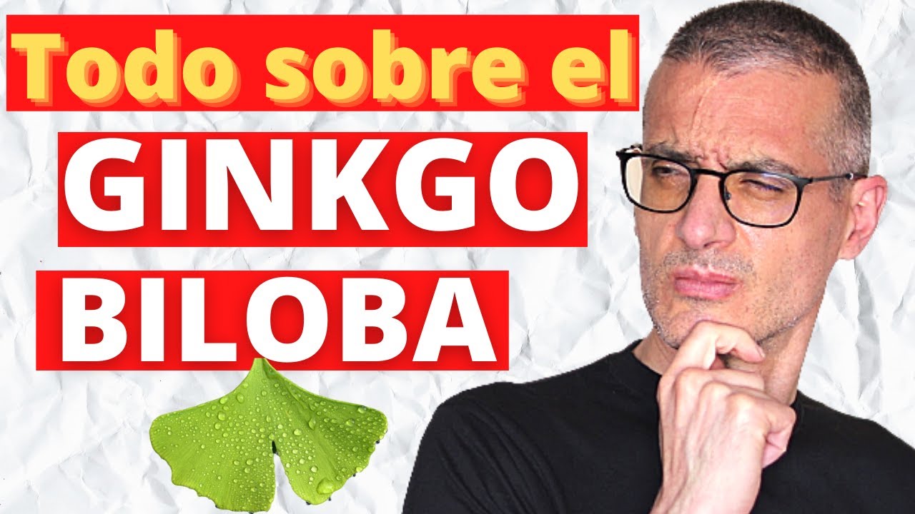 GINKGO BILOBA: para qué sirve, cómo se toma y contraindicaciones. Ginkgo biloba propiedades