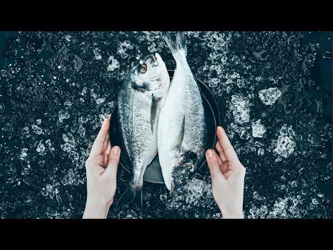 Is there actually an ethical reason to not eat fish?