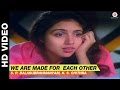 We Are Made For Each Other - Love | S.P. Balasubrahmanyam, K.S. Chitra | Salman Khan & Revathi