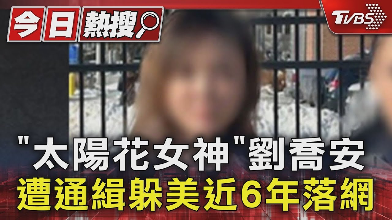 「太陽花女神」劉喬安 遭通緝躲美近6年落網
