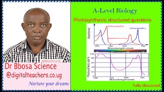 Photosynthesis Revision of structured questions (A-level biology)