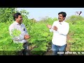 मराठवाड्यातील सर्वात मोठं गावरान कों