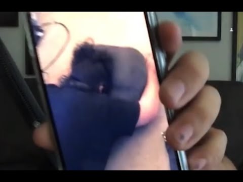 Dynamic Banter Out of Context Part 3 (Giggles 'n' Bits)