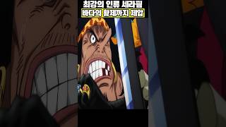 사황 검은수염 티치를 제압하는 최강의 인류 세라핌
