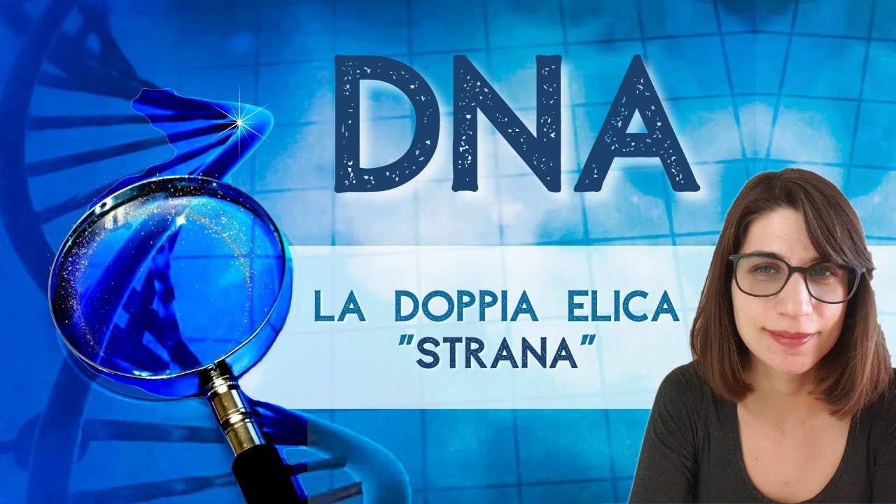 Il DNA: che cos'è, come è fatto e a cosa serve