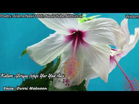 Ismaili Ginan, Recited by Durei Maknoon