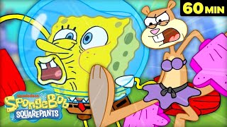 Best SpongeBob Fights and Battles 60 Minute Compilation SpongeBob Mp4 3GP & Mp3