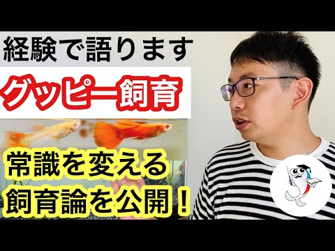 Aero Spacelines スーパー グッピーについて詳しく解説