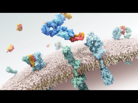 AXS Studio Mechanism of Action MOA Animation Show Reel