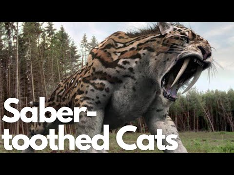 The Mighty Saber-toothed Cats: Smilodon Uncovered!