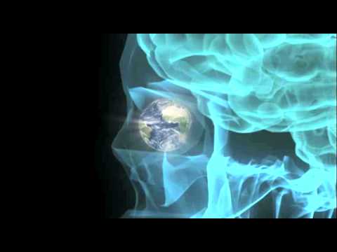 afbeelding Zeitgeist: Addendum