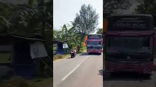 Download lagu story' wa bus pariwisata KUPU KUPU AYU Wonder Love mp3