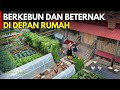 UBAH HALAMAN RUMAH JADI KEBUN SWASEMBADA PANGAN KELUARGA MANDIRI ALA BU UTIQ CERITA USAHA