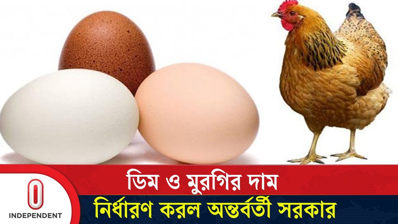 উৎপাদক, পাইকারি ও খুচরা পর্যায়ে ডিম ও মুরগির দাম নির্ধারণ করেছে সরকার | Egg Chicken | Independent TV