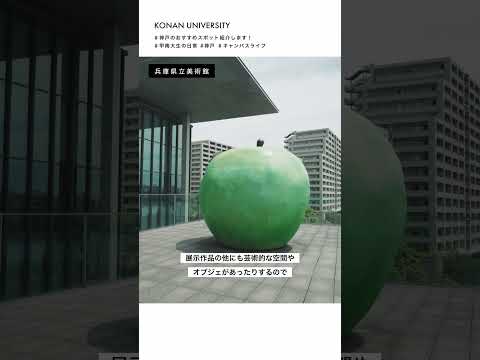 【甲南大学】神戸のおすすめスポット紹介します！