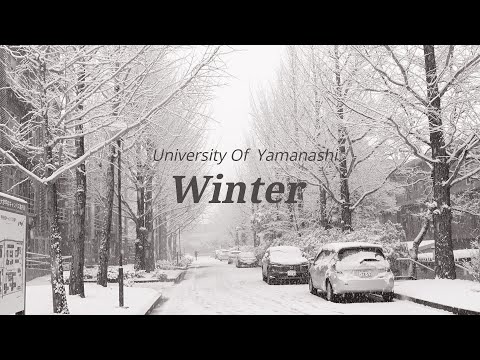 山梨大学の四季　冬編
