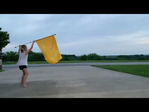Whip Snapping and Flag Twirling