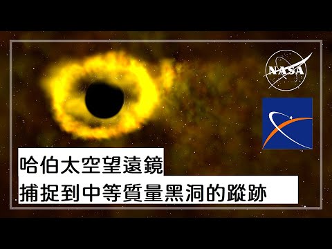 哈伯太空望遠鏡捕捉到中等質量黑洞