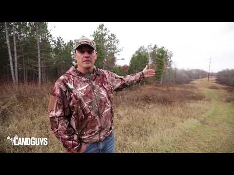 download lagu mp3 mp4 Hunting Land For Sale In Wisconsin, download lagu Hunting Land For Sale In Wisconsin gratis, unduh video klip Hunting Land For Sale In Wisconsin