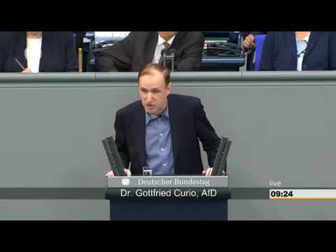 Dr.Gottfried Curio AfD am 17.05.2018 im Bundestag