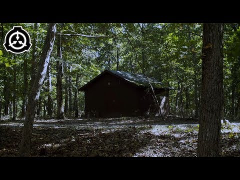 The Foundation: SCP 1080 - The Creche