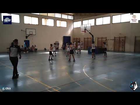 PREINFANTIL MACULINO : CB 7 Palmas -  Heidelberg