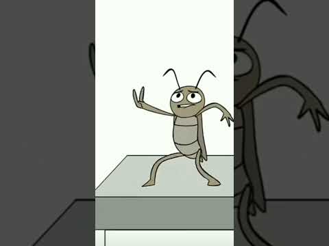 animação: a barata dançarina