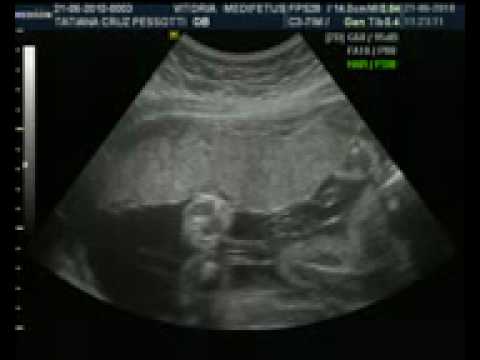 José Mario Pessotti Neto