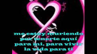 LU - SI TU ME QUISIERAS ... KARAOKE