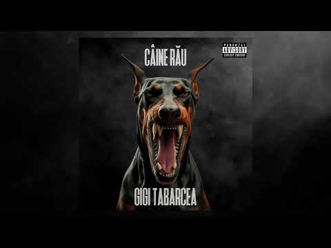 Gigi Tabarcea - Câine rău