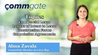 Commercial Leasing Contracts 101 