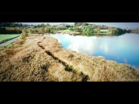 STOKKELANDSVANNET, GANDDAL