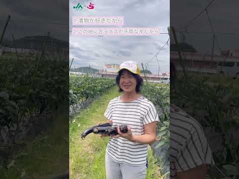 夏秋なす（紹介）｜JAめぐみの×美・デザイン＆医療事務コース　産学連携授業作成動画｜中部学院大学・中部学院大学短期大学部