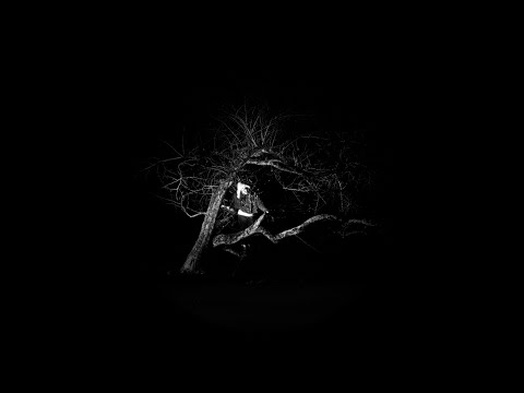 Pitou - Devote (Official Video)