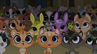 Cover art for Littlest Pet Shop - Hearty Time