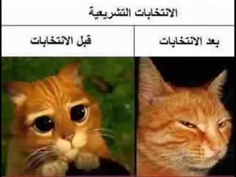 Ahmed Soultan, Dizzy Dros, DJ Van, Manal BK, Muslim & Shayfeen - Mantsayadch (clip officiel)