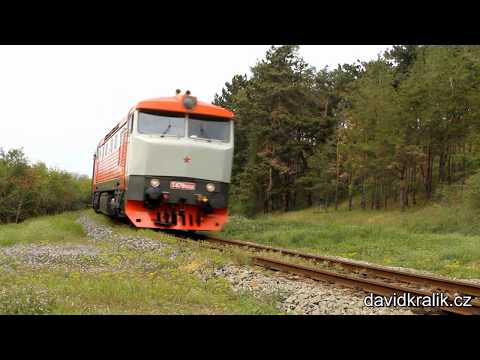 Train / Zug / Vlak - Karkulka T444.162 a Bardotka T478.1008