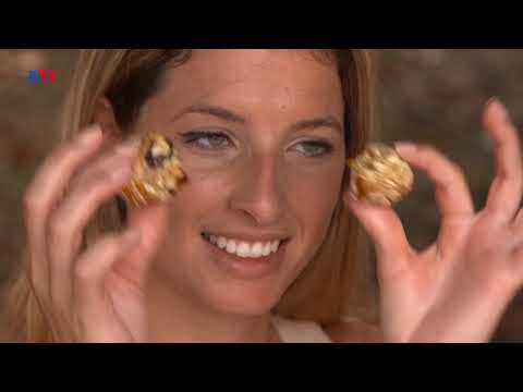 Cruising Israel- Dec. 19, 2018