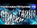 Тайна стирки (Познавательное ТВ, Елена Рычкова) 