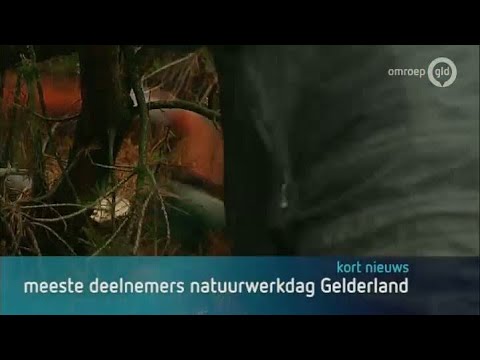 GLD Nieuws 3 november 2013 - Nieuws