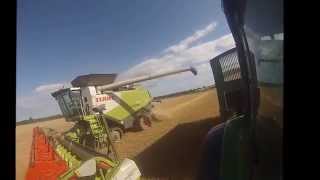 A Northumberland Harvest 2014