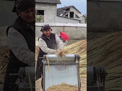 În satul măturarilor