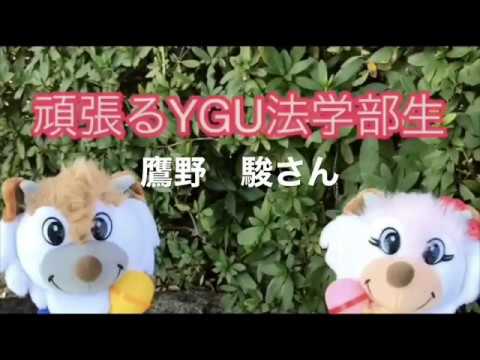 法学科 頑張るYGU法学部生（在学生編）