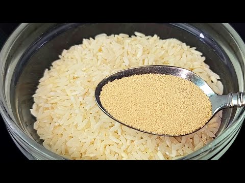 Mischen Sie Hefe mit Reis, Sie werden begeistert sein! Ein längst vergessenes REZEPT!