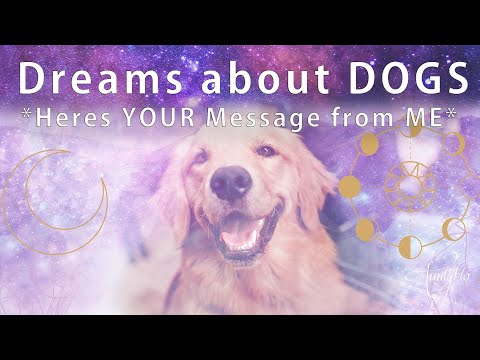 Dreaming of DOGS? ✨ DOG Dream Meaning ~ Very Detailed ✴︎☽ ✨ ✨ 🌈💝 |COLLAB WITH @Auntyflo