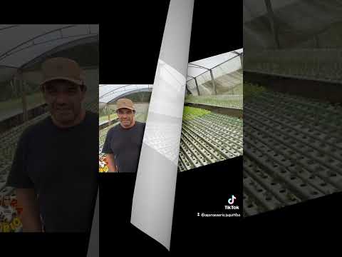 ZÉ DA SAMA É O NOVO DIRETOR DE AGRICULTURA DE JUQUITIBA NO GOVERNO WILHIANS SOARES